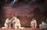Phoenix Kyokushinkai Karaté