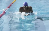 la Jeanne natation N2 Antibes