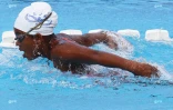 Natation
