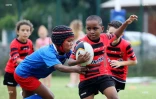 rugby jeunes 