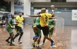 Finale des Championnats de La Réunion de handball