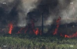 Feu de cannes à Sainte-Suzanne 31 août 2016