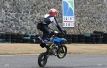 rodéo piste de la jamaique
