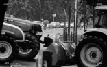 manifestation planteurs 