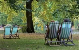 Au Royaume-Uni, chaleur et sécheresse provoquent un "faux automne"