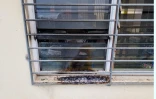 violences urbaines a saint-louis 