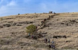Trail de villèle 