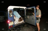 volcan 2005