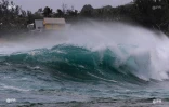 houle dans l\'ouest