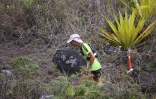 Grand raid