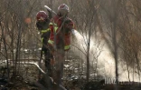 Dash 8 pour Feu de broussailles Ă Savannah Saint-Paul