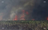 Feu de cannes à Sainte-Suzanne 31 août 2016