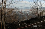 Dash 8 pour Feu de broussailles Ă Savannah Saint-Paul