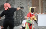 canne de combat 2016