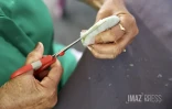 Saint-Pierre : une journée pour sensibiliser à la maladie d'Alzheimer [?]