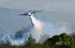 Feu de broussailles Ă Savannah Saint-Paul