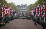 Des inconditionnels de la famille royale rassemblés le long de la "Procession du roi", entre le palais de Buckhingham et l'Abbaye de Westminster, le jour du couronnement de Charles III, le 6 mai 2023 à Londres ( POOL / SEBASTIEN BOZON )