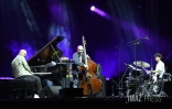 Jazz dann Port Chai Maestro