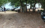 Plage, Hermitage, Domaine public maritime, parking sauvage, collectif de défense du DPM, voiture, paillotes