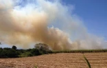 Feu de cannes à Sainte-Suzanne 31 août 2016