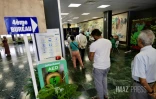 Législatives anticipées 2024 deuxième tour