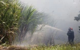 Feu de cannes à Sainte-Suzanne 31 août 2016