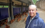 ferme de poulet bio péi 