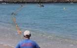 La plage ouverte à la baignade aux Roches Noires