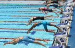 natation meeting 