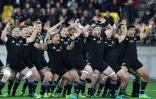 Les joueurs néo-zélandais de rugby, les All Blacks, en plein "haka", le 15 septembre 2018, à Wellington, face à l' équipe d'Afrique du sud

