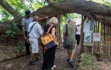 47 “Enfants de la Creuse” ont été accueillis à Saint-Paul
