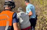 Saint-Paul : assis dans la savane, un gramoune désorienté est repéré et sauvé par la section aérienne de gendarmerie
