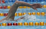 25ème meeting de natation de l\\\'océan Indien