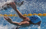 natation qualif 2017