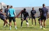 AS excelsior 
