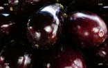 Fruits et légumes