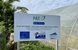 Région Réunion