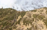 Feu du Maïdo