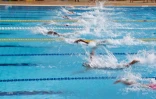 natation 