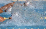 Natation comité régional Championnat hiver