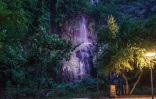 La Grotte des Premiers Franc?ais est victime de vols d\'arbres. (Photo Thierry Duprey)