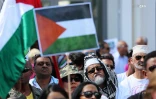 Manifestion palestine