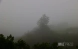 météo, brouillard