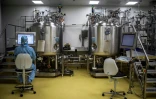 Un laboratoire de Sanofi Ă Neuville-sur-SaĂ´ne en novembre 2012