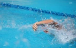 natation 