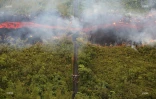 Eruption au Piton de la fournaise