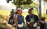 Plantation de plantes endémiques