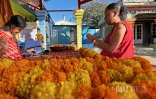 colliers d'oeillet d'inde ou rose d'inde pour cérémonie tamoule