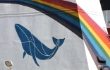 Greenpeace