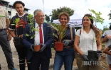 plan 1 million arbres La Possession au college Texeira da motta 
